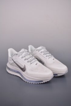 Nike Pegasus Premium Corporate Edition Low-top Running Shoes